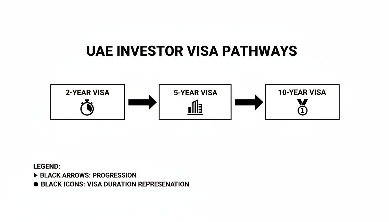 Flowchart illustrating UAE investor visa pathways, showing progression from 2-year to 5-year and 10-year visas.