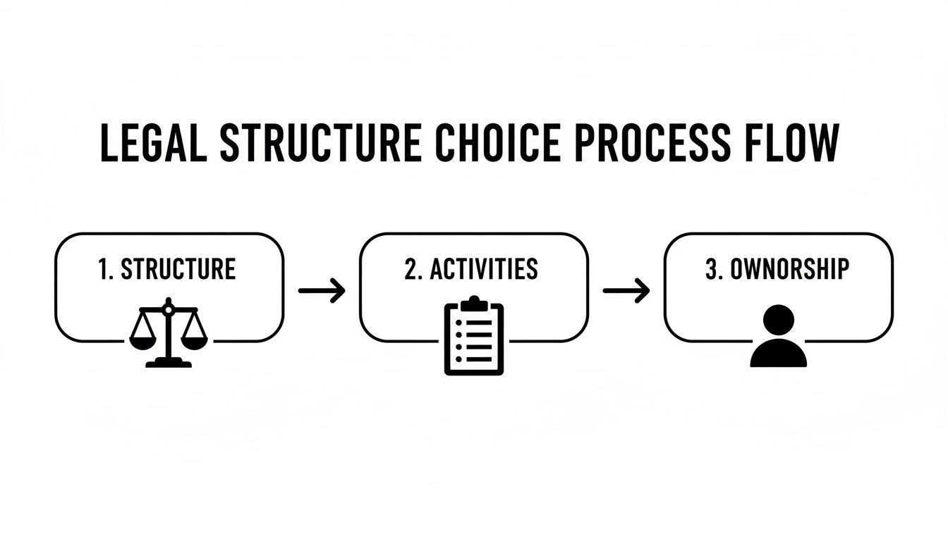 Flowchart illustrating the legal structure choice process, including structure, activities, and ownership steps.